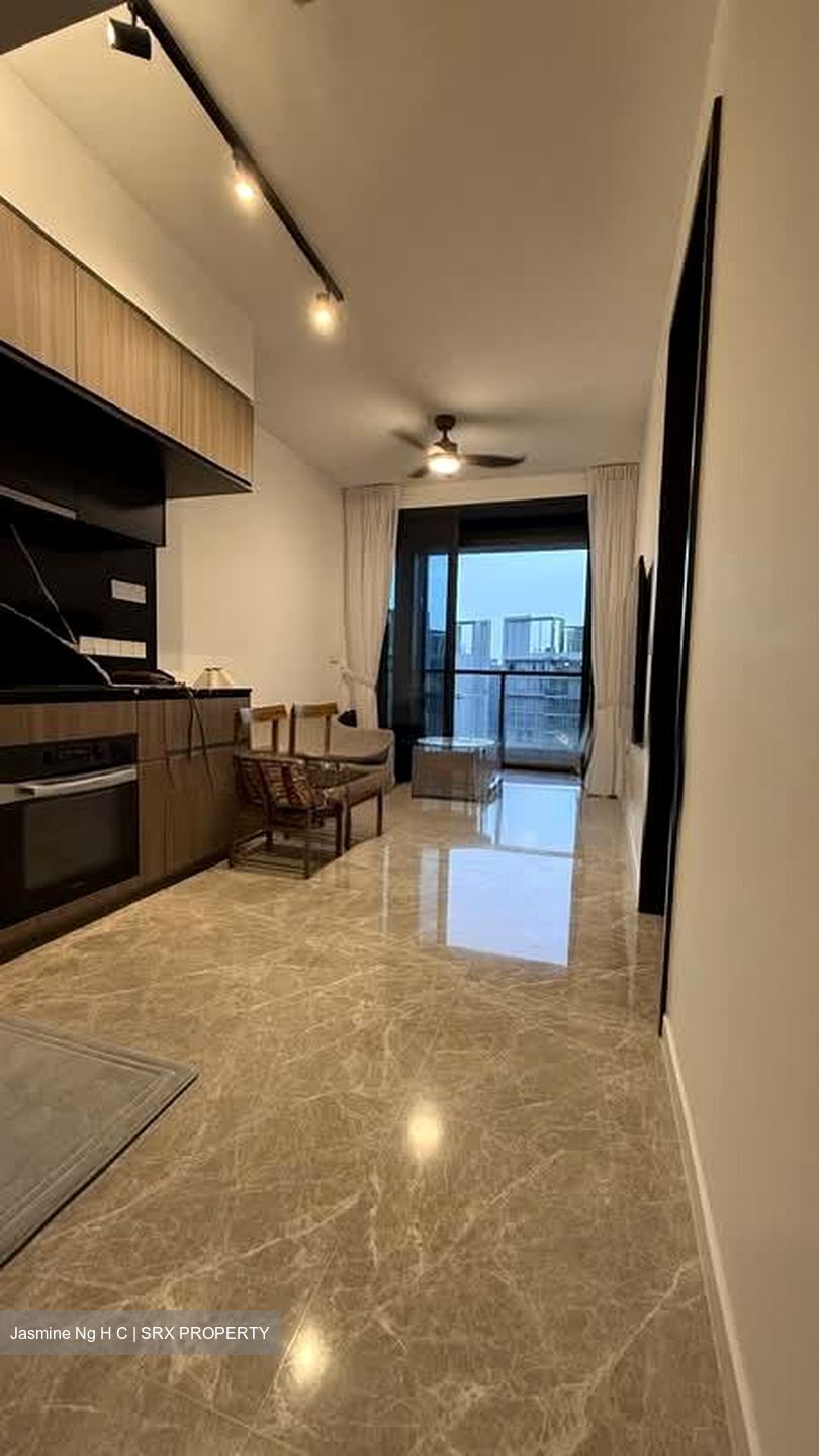 Irwell Hill Residences (D9), Apartment #554540301